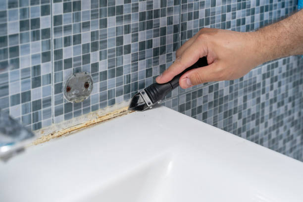 Office Mold Removal Services in Shawsville, VA