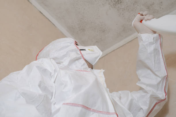 Best Local Mold Removal Service  in Shawsville, VA